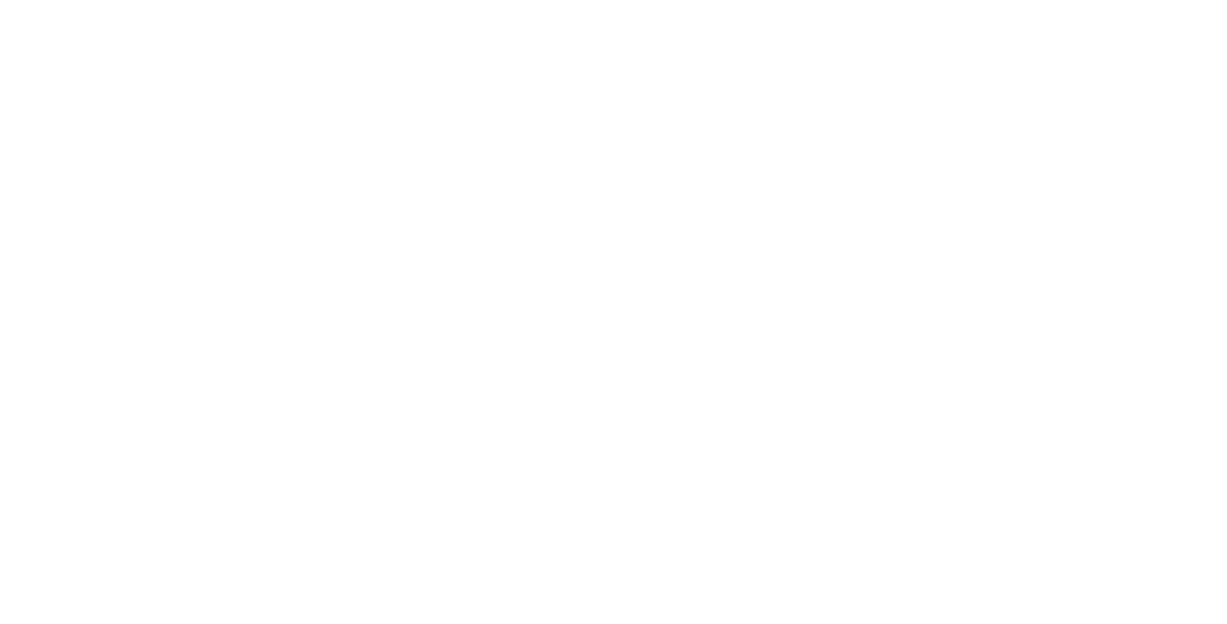 Floy Scripts logo